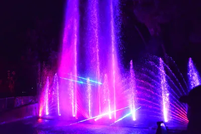 DSC_7073 (Large).JPG